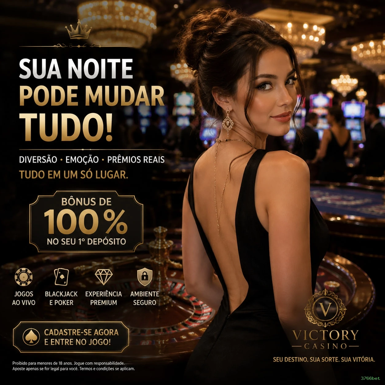 Suporte Login